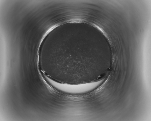 X0000086951418200704301208