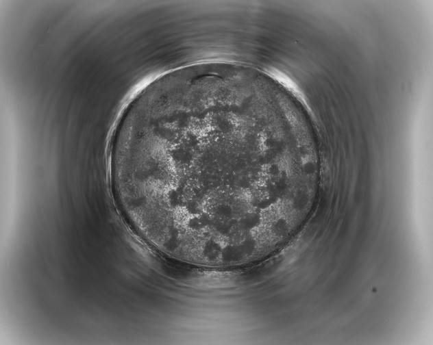 X0000086951419200704301208