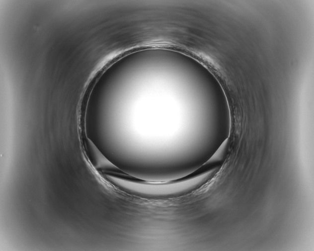 X0000086951422200704301208