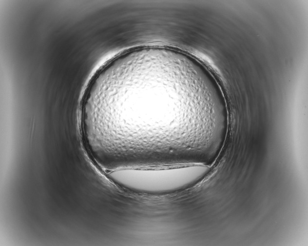 X0000086951424200704301208