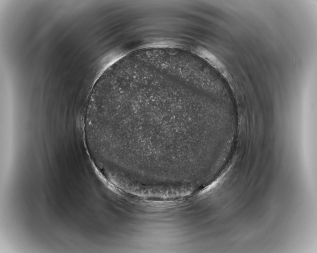 X0000086951425200704301208