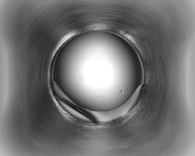 X0000086951426200704301208