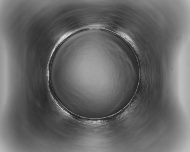 X0000086951428200704301208