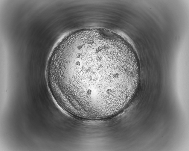 X0000086951429200704301208