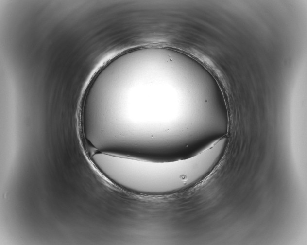 X0000086951432200704301208