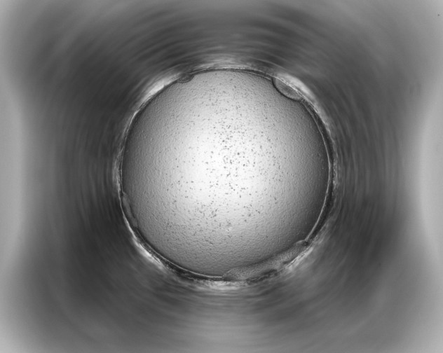 X0000086951433200704301208