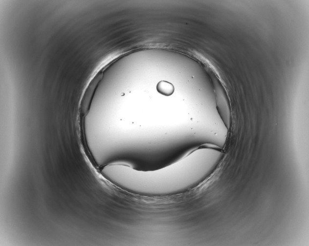 X0000086951434200704301208