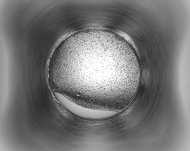 X0000086951435200704301208