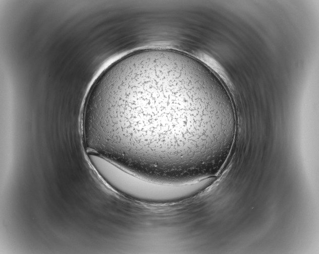 X0000086951436200704301208