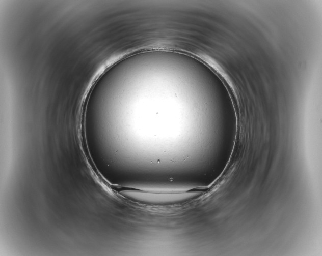 X0000086951437200704301208