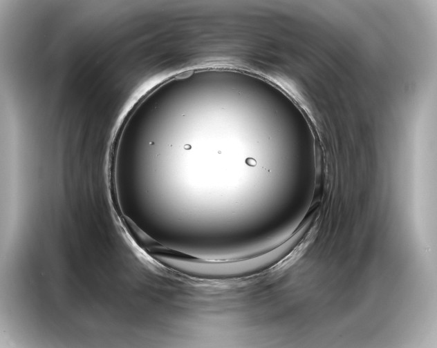 X0000086951438200704301208