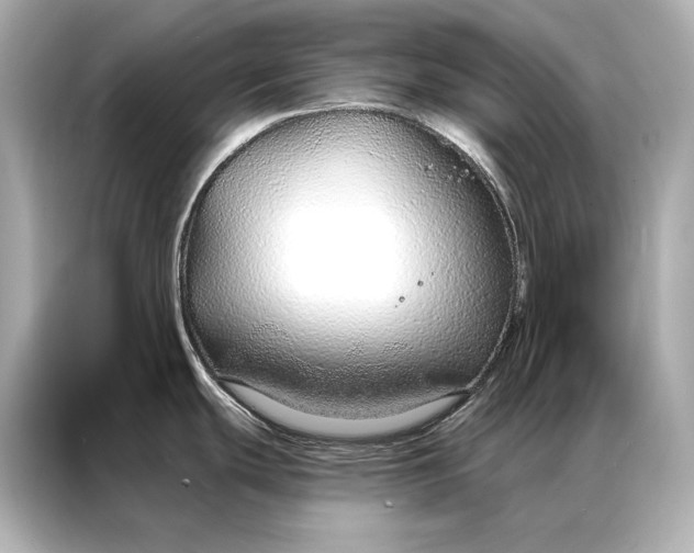 X0000086951439200704301208