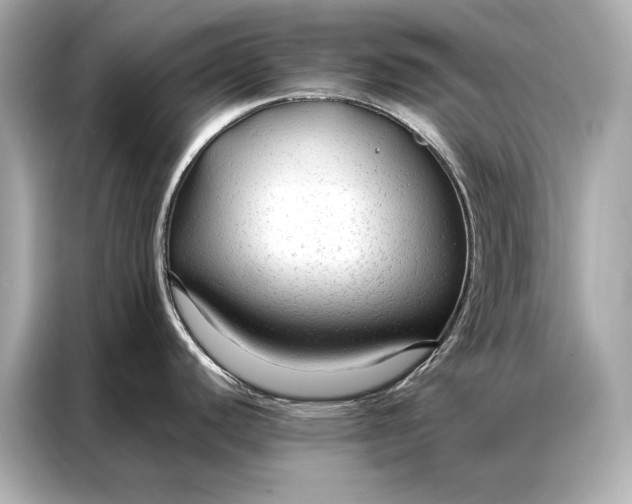 X0000086951440200704301208