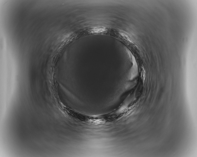 X0000086951441200704301208