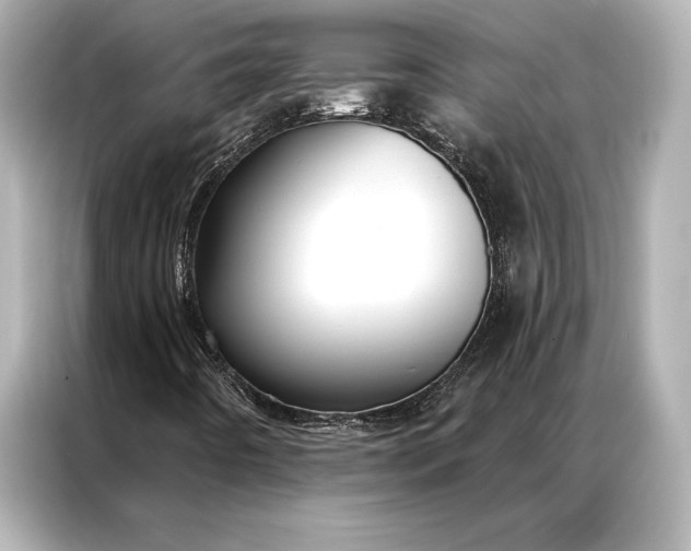 X0000086951442200704301208