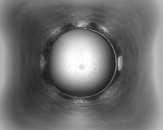 X0000086951443200704301208