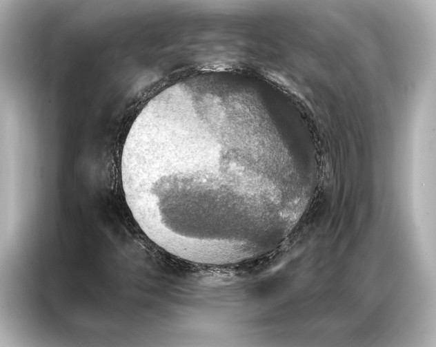 X0000086951446200704301208