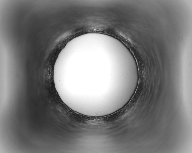 X0000086951447200704301208