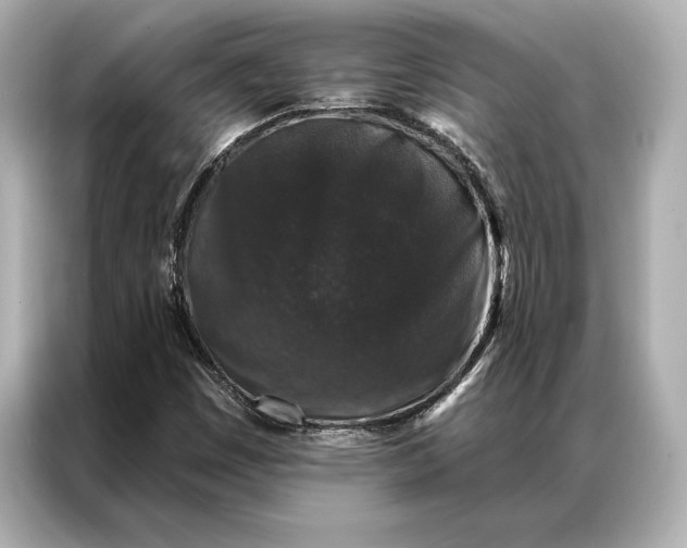 X0000086951449200704301208