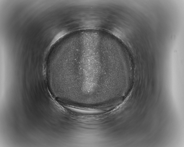 X0000086951450200704301208