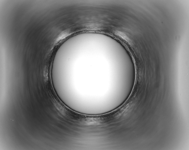 X0000086951451200704301208