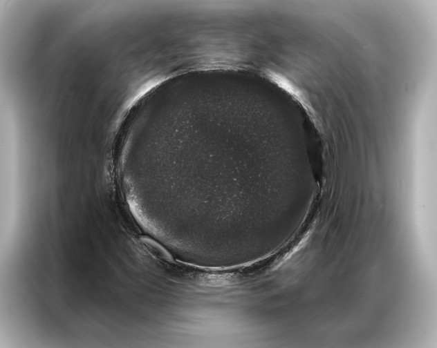 X0000086951453200704301208