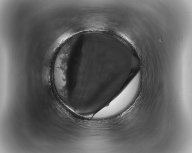 X0000086951455200704301208