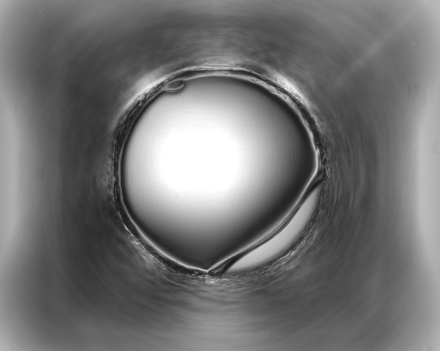 X0000086951456200704301208