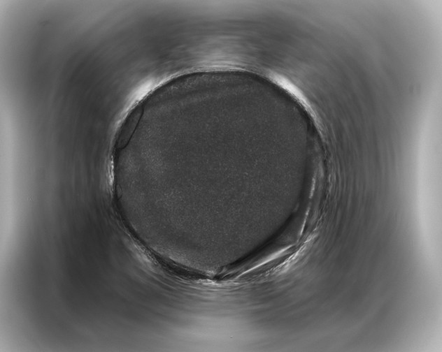 X0000086951461200704301208