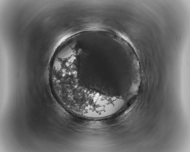 X0000086951463200704301208