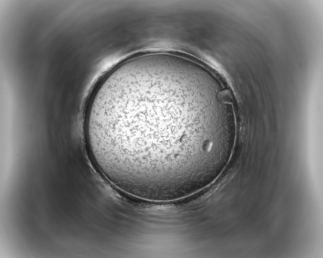 X0000086951464200704301208