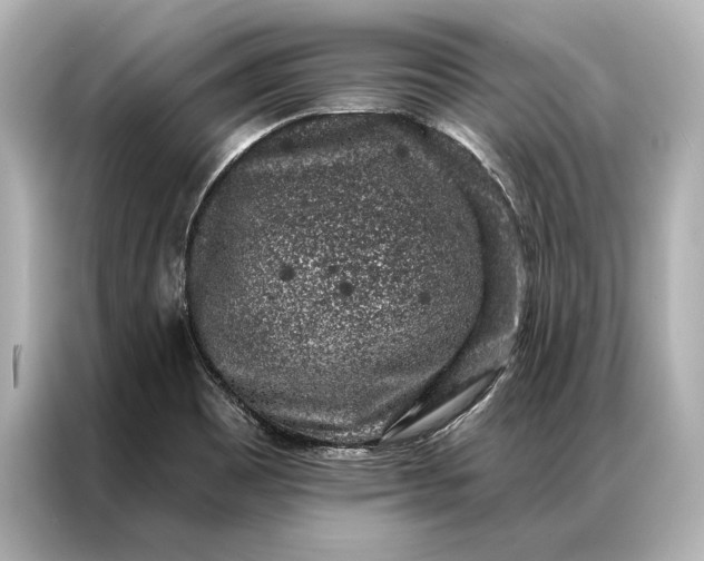 X0000086951465200704301208