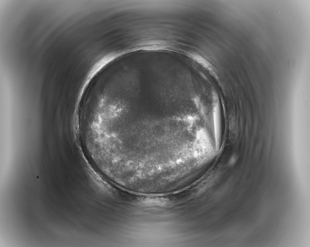 X0000086951466200704301208