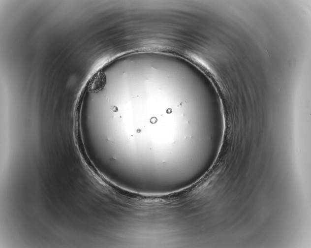 X0000086951467200704301208