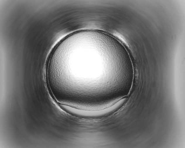 X0000086951468200704301208