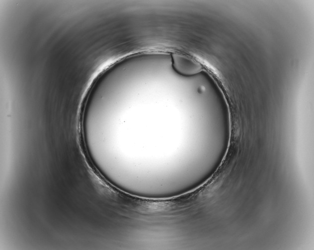 X0000086951471200704301207