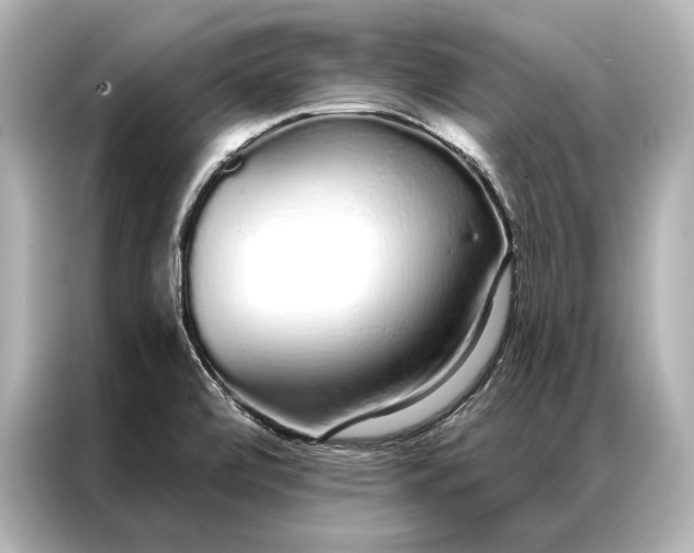 X0000086951472200704301207