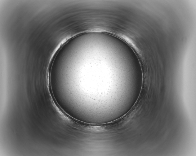 X0000086951476200704301207