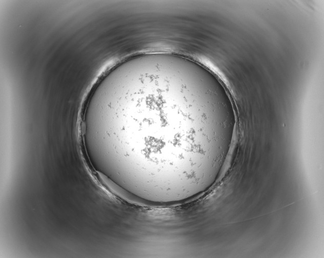 X0000086951477200704301207