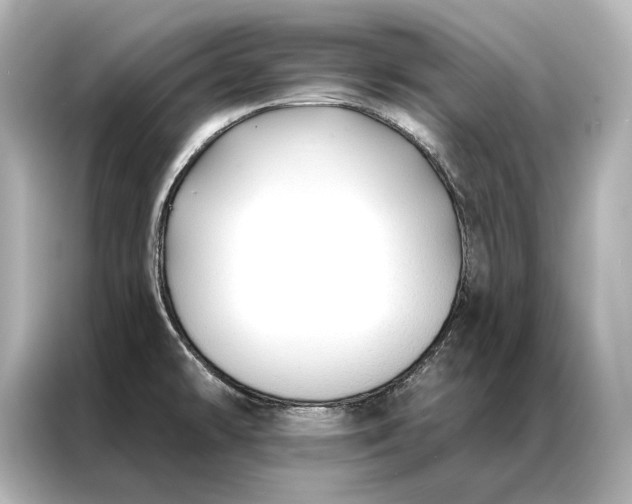 X0000086951478200704301207