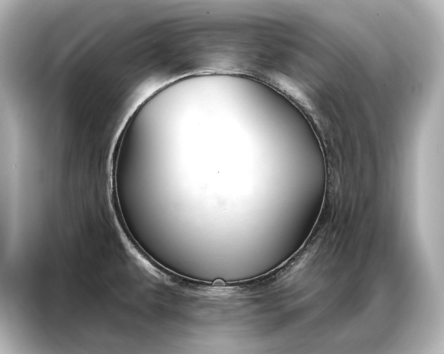 X0000086951479200704301207