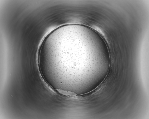 X0000086951480200704301207