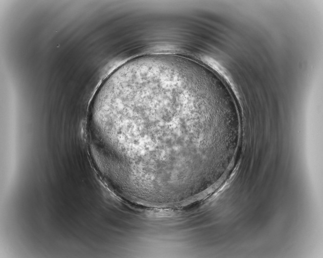 X0000086951481200704301207