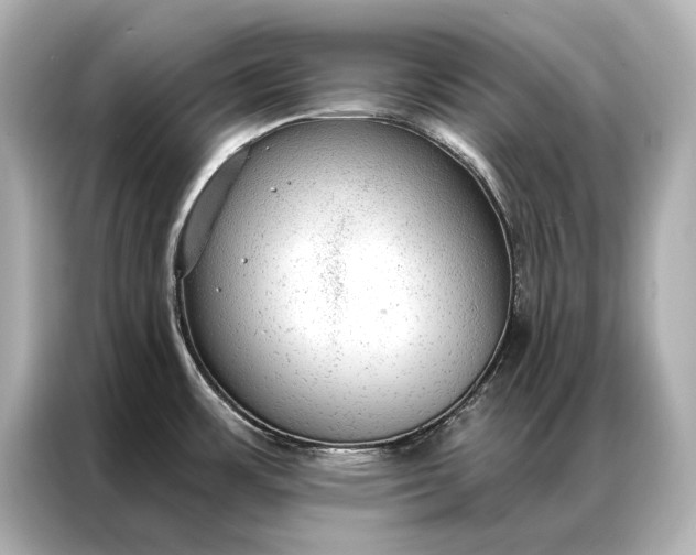 X0000086951483200704301207