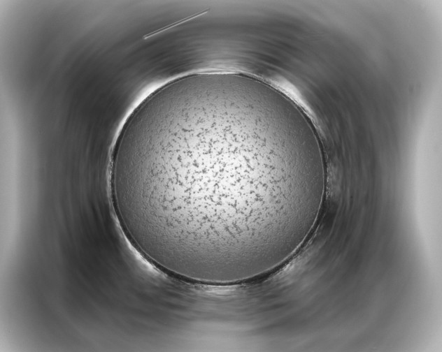 X0000086951484200704301207