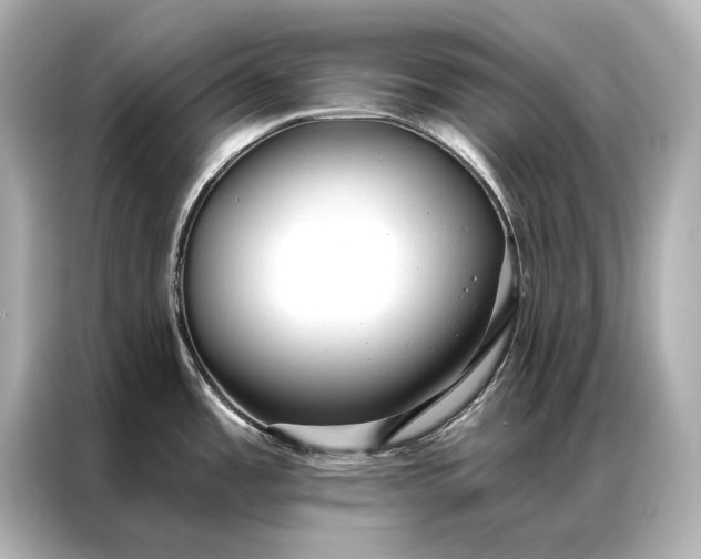 X0000086951485200704301207