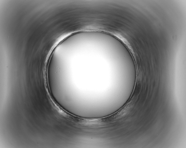 X0000086951486200704301207