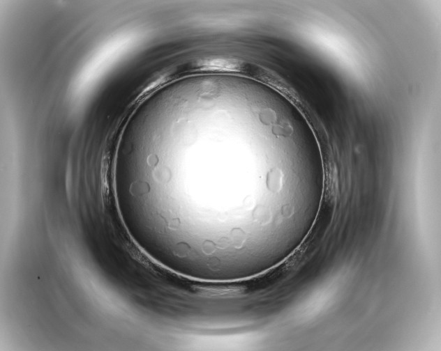 X0000086951487200704301207