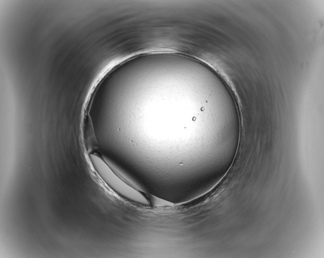 X0000086951488200704301207