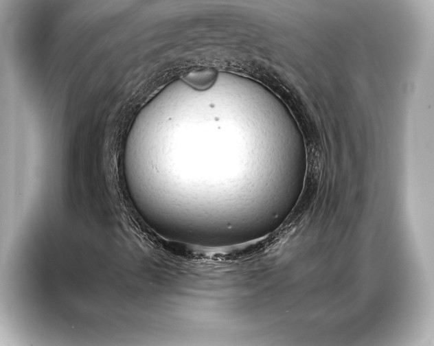 X0000086951489200704301207